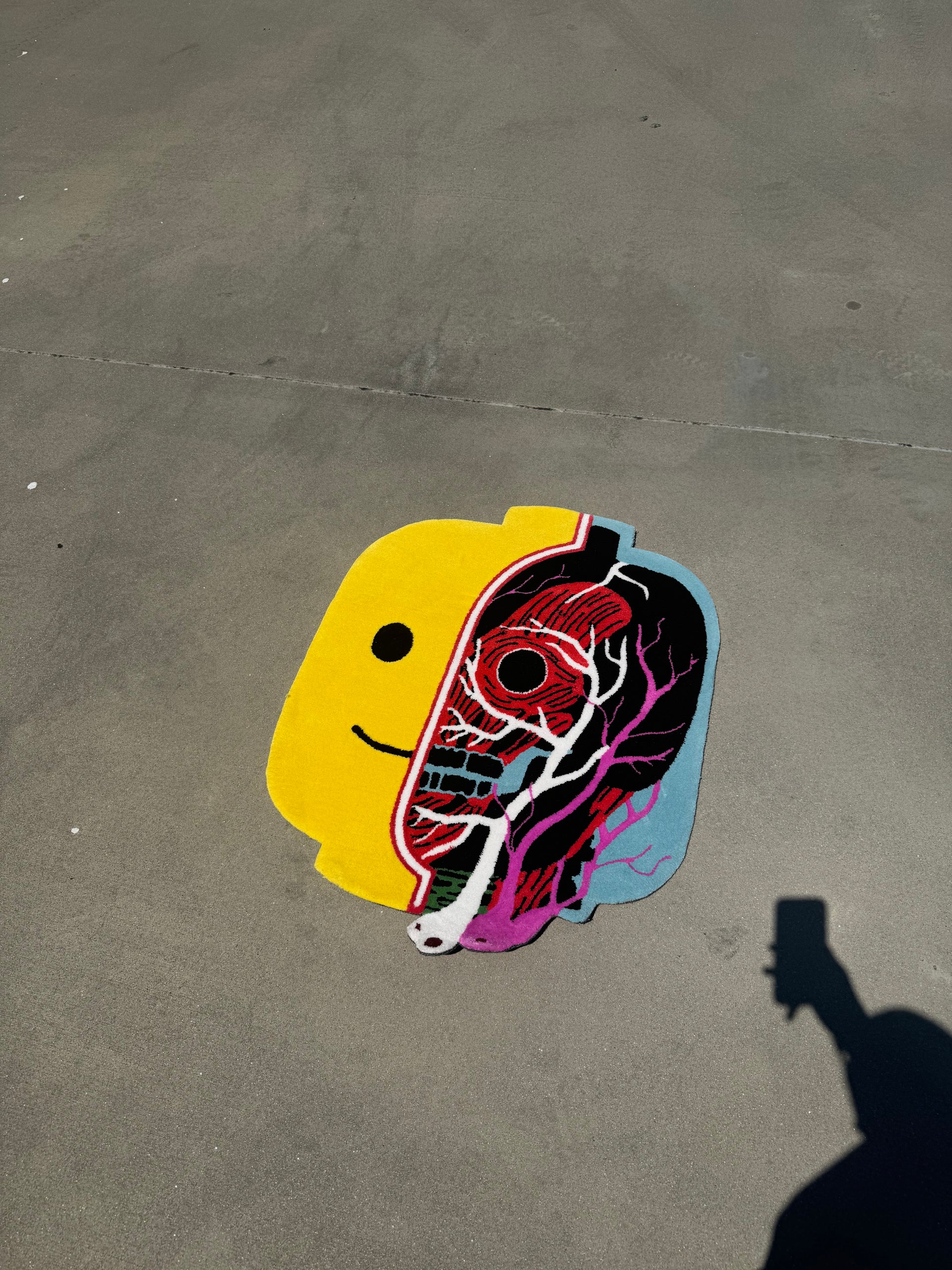 LEGO ANATOMY RUG